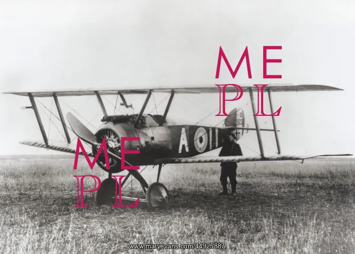 : Sopwith Camel F-1 : Sopwith Camel F-1