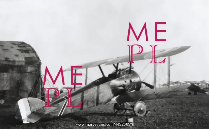 : Sopwith Camel F-1 : Sopwith Camel F-1