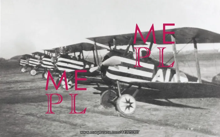 : Sopwith Camel F-1 : Sopwith Camel F-1