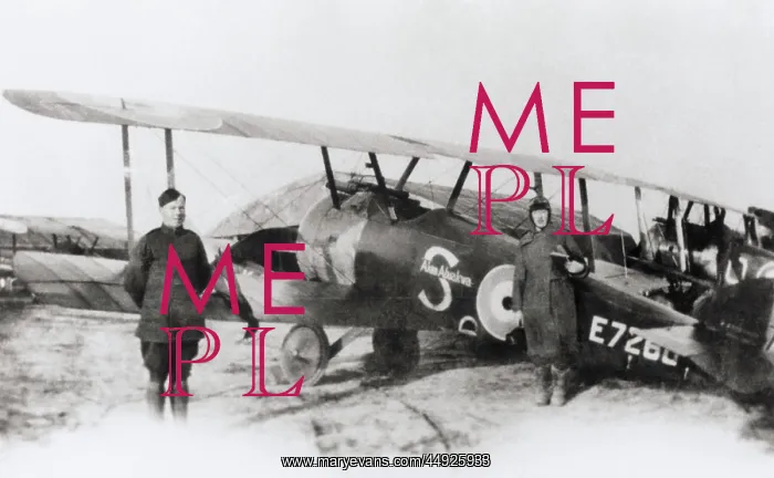 : Sopwith Camel F-1 : Sopwith Camel F-1