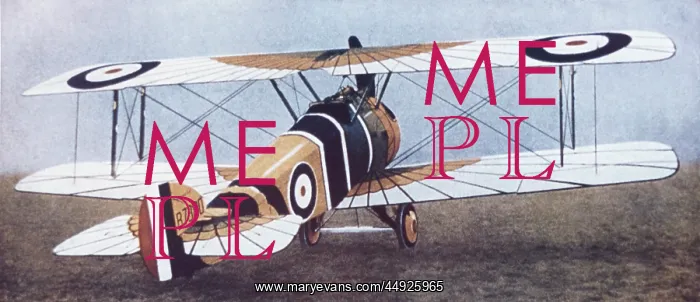 : Sopwith Camel F-1 : Sopwith Camel F-1