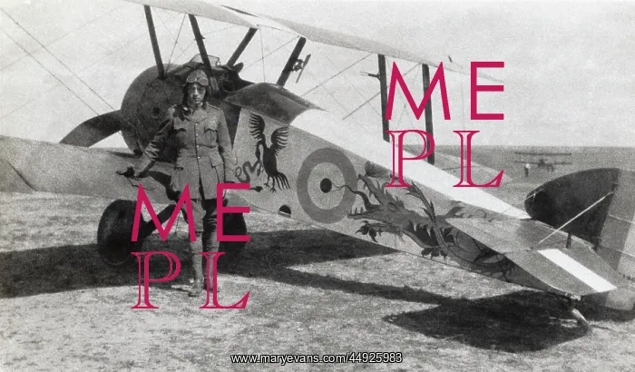: Sopwith Camel F-1 : Sopwith Camel F-1