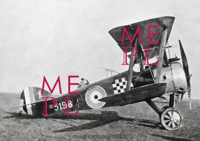 : Sopwith Camel F-1 : Sopwith Camel F-1