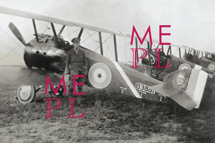 : Sopwith Camel F-1 : Sopwith Camel F-1
