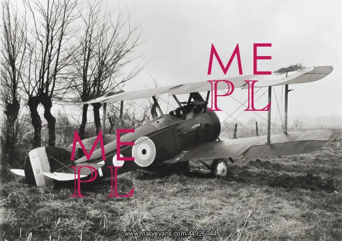 : Sopwith Camel F-1 : Sopwith Camel F-1