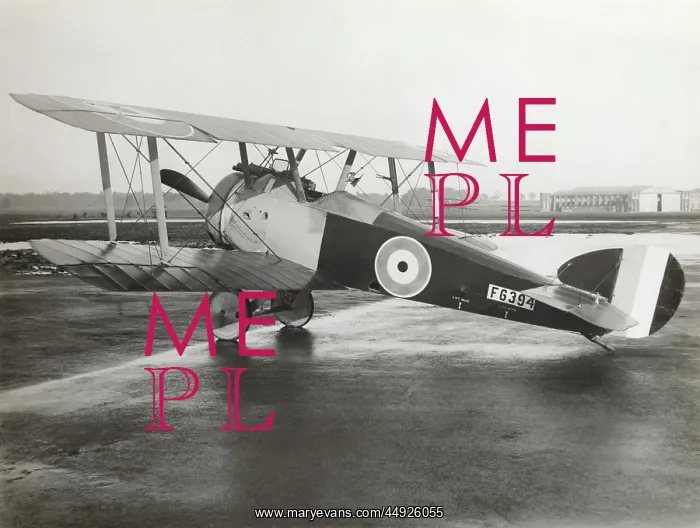 : Sopwith Camel F-1 : Sopwith Camel F-1
