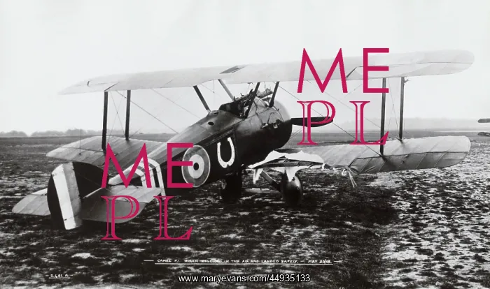 : Sopwith Camel F-1 : Sopwith Camel F-1