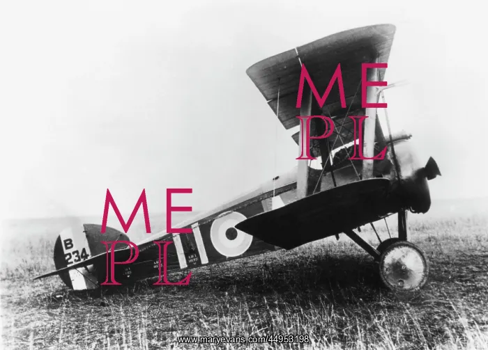 : Sopwith Camel F-1 : Sopwith Camel F-1