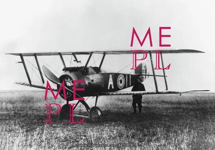 : Sopwith Camel F-1 : Sopwith Camel F-1