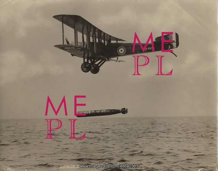 : Sopwith Cuckoo N6954 dropping a MkIX torpedo : Sopwith Cuckoo N6954 dropping a MkIX torpedo