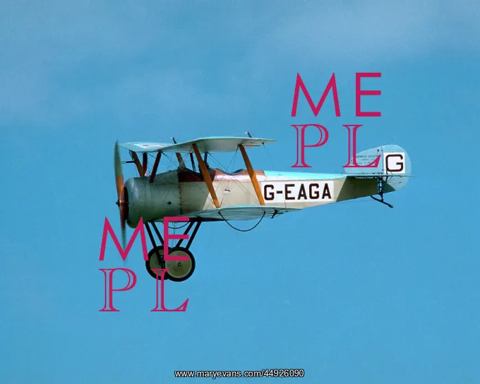 : Sopwith Dove : Sopwith Dove