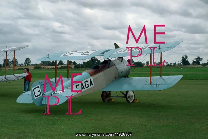 : Sopwith Dove : Sopwith Dove
