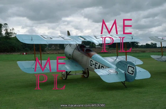 : Sopwith Dove : Sopwith Dove
