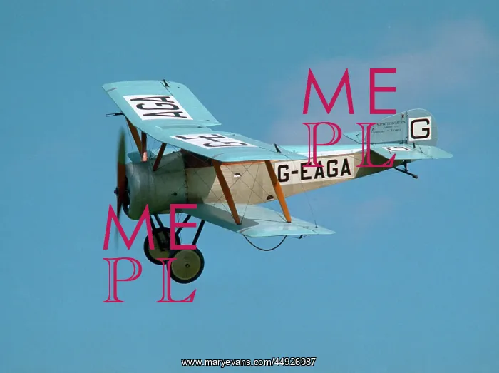 : Sopwith Dove : Sopwith Dove
