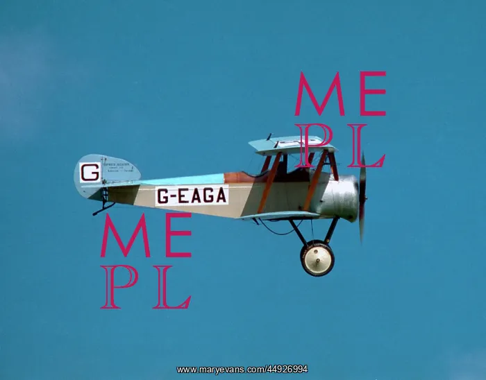 : Sopwith Dove : Sopwith Dove