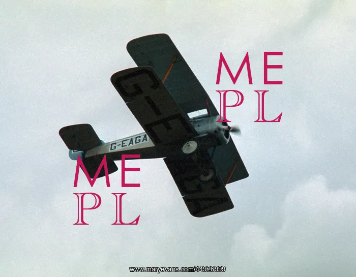 : Sopwith Dove : Sopwith Dove