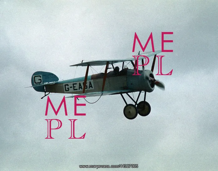 : Sopwith Dove : Sopwith Dove