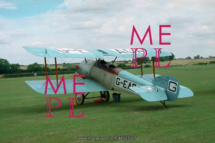 : Sopwith Dove : Sopwith Dove