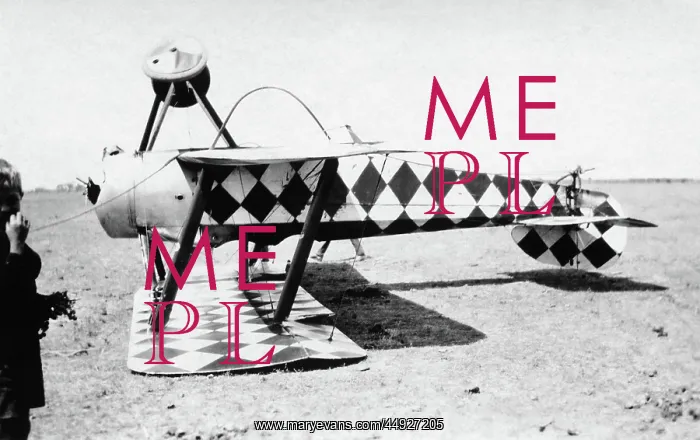 : Sopwith Dove : Sopwith Dove