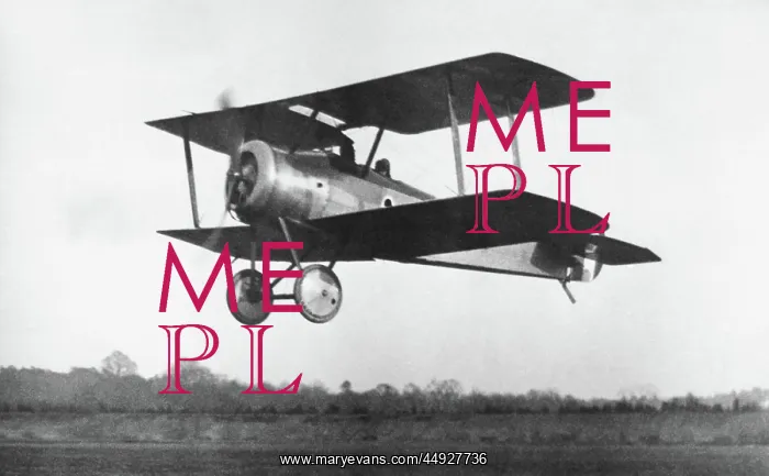 : Sopwith Dove : Sopwith Dove
