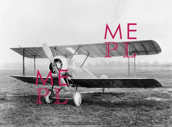 : Sopwith Dove : Sopwith Dove