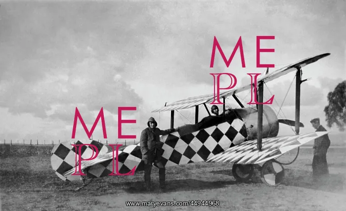 : Sopwith Dove : Sopwith Dove