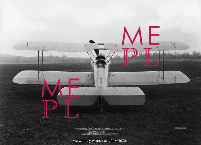 : Sopwith Dove : Sopwith Dove