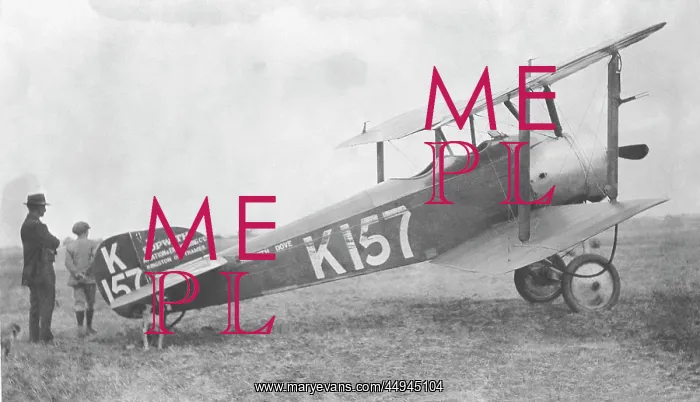 : Sopwith Dove : Sopwith Dove