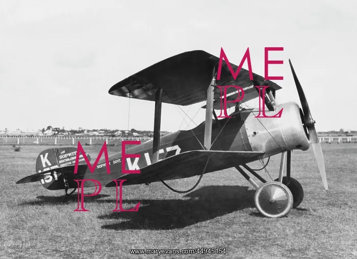 : Sopwith Dove : Sopwith Dove