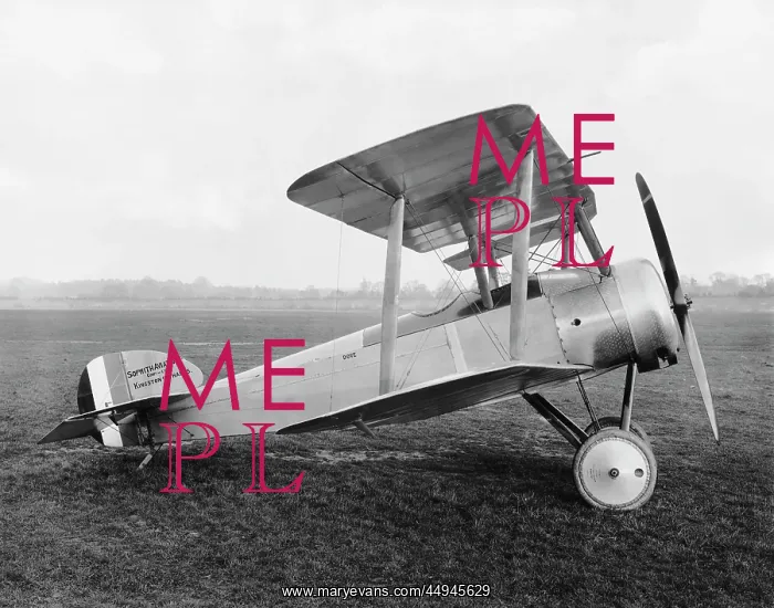 : Sopwith Dove : Sopwith Dove