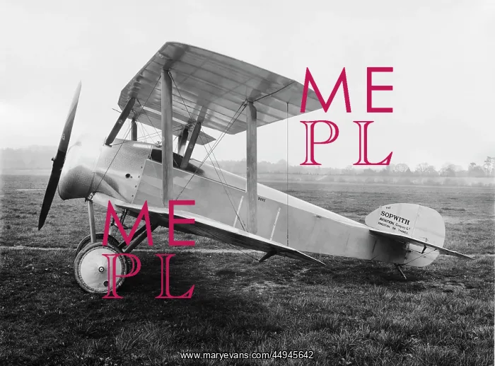: Sopwith Dove : Sopwith Dove