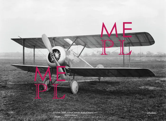 : Sopwith Dove : Sopwith Dove