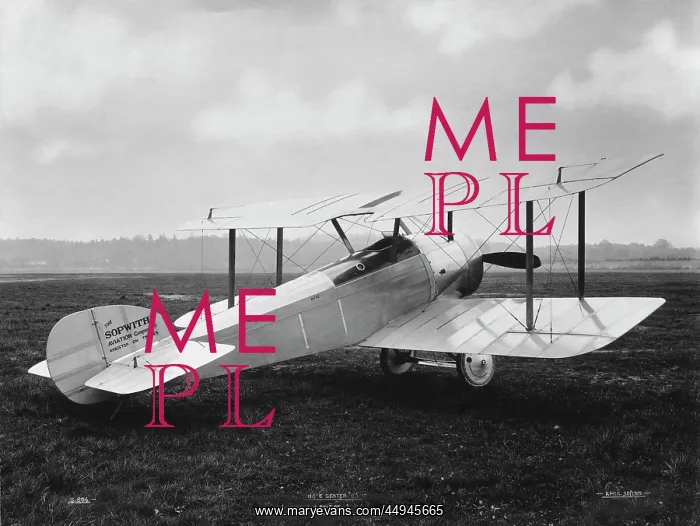 : Sopwith Dove : Sopwith Dove