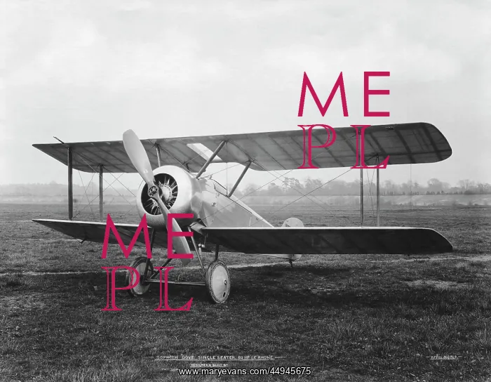 : Sopwith Dove : Sopwith Dove