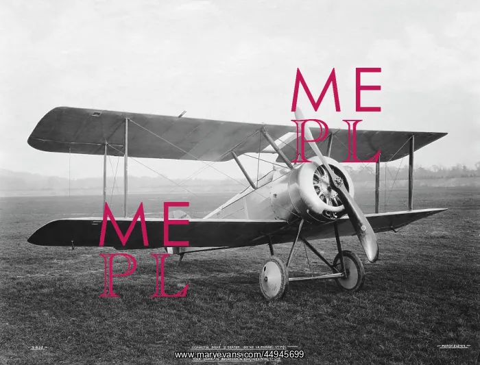 : Sopwith Dove : Sopwith Dove
