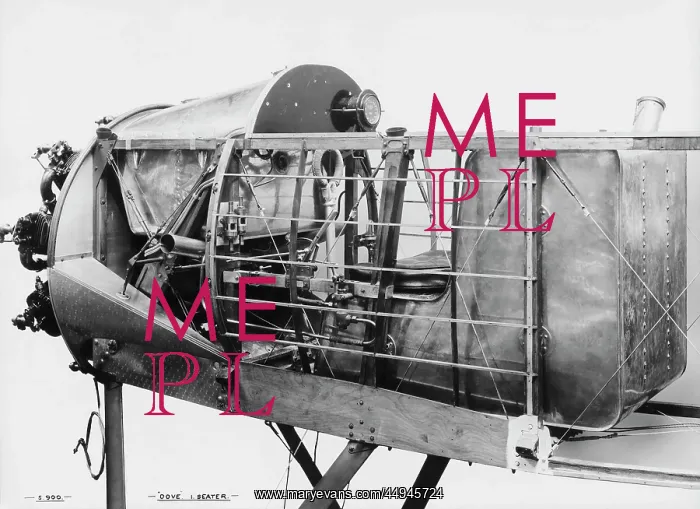 : Sopwith Dove : Sopwith Dove