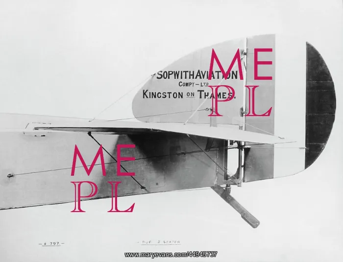 : Sopwith Dove : Sopwith Dove