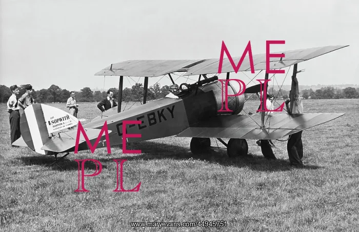 : Sopwith Dove : Sopwith Dove