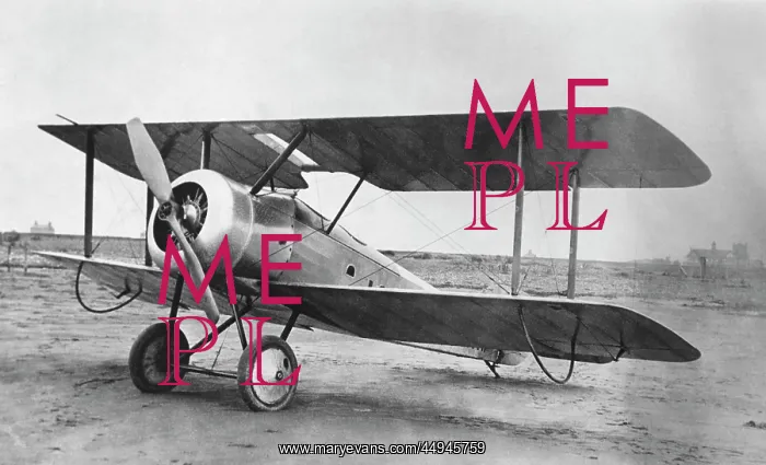 : Sopwith Dove : Sopwith Dove