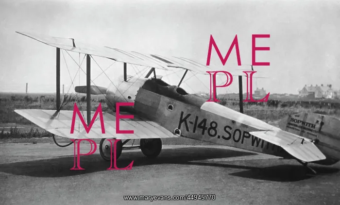 : Sopwith Dove : Sopwith Dove