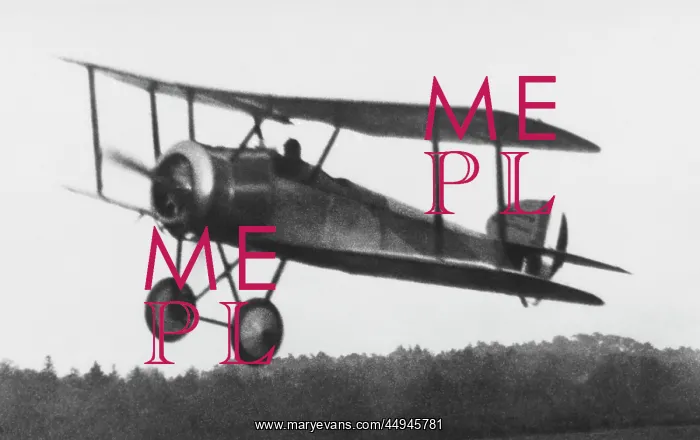 : Sopwith Dove : Sopwith Dove