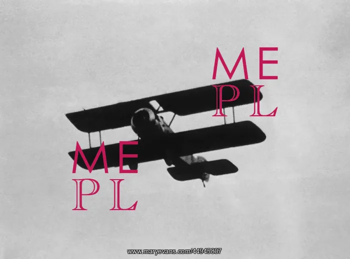  : Sopwith Dove