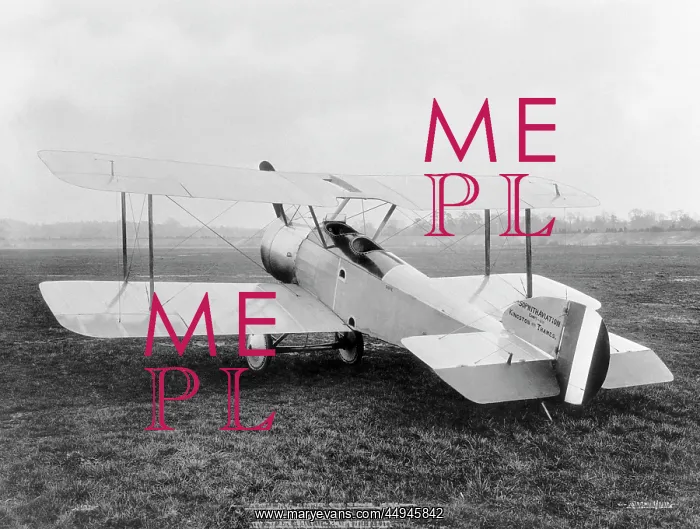 : Sopwith Dove : Sopwith Dove