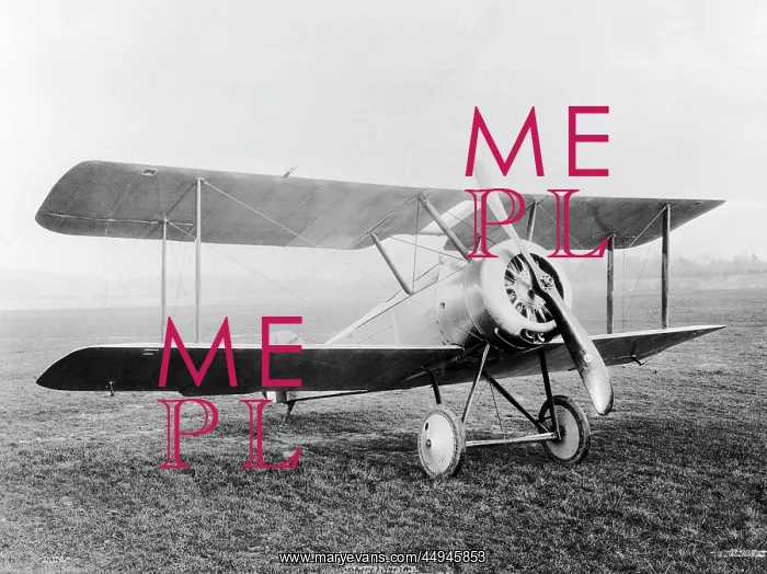 : Sopwith Dove : Sopwith Dove
