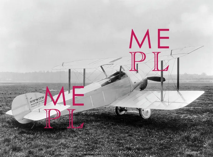 : Sopwith Dove : Sopwith Dove