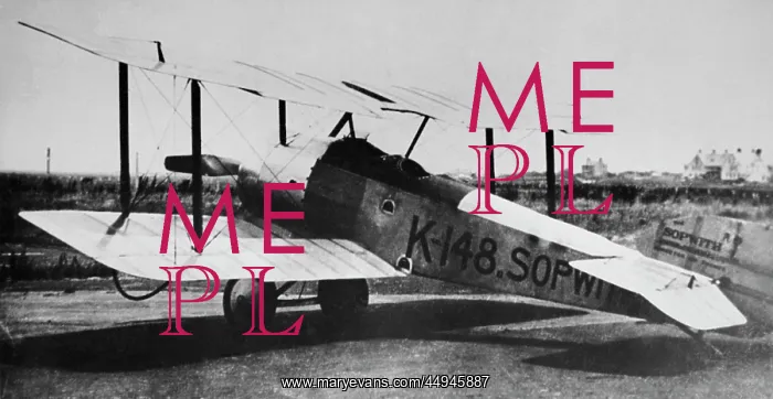: Sopwith Dove : Sopwith Dove