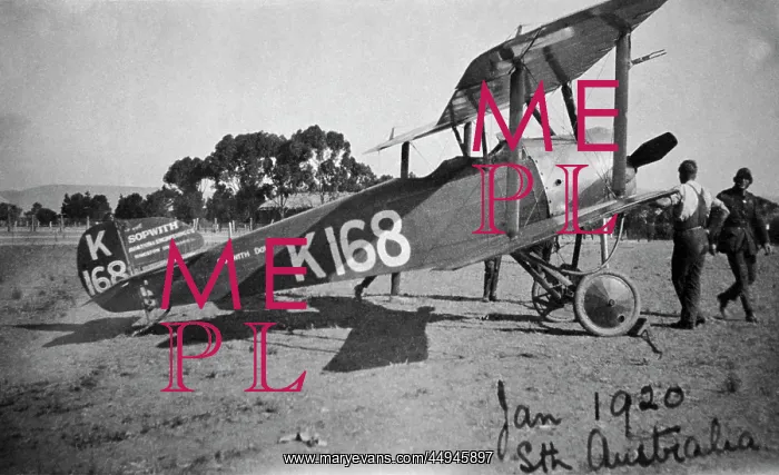 : Sopwith Dove : Sopwith Dove