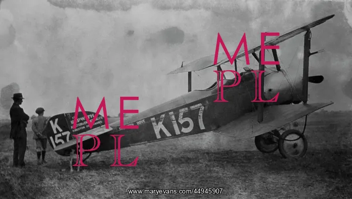 : Sopwith Dove : Sopwith Dove
