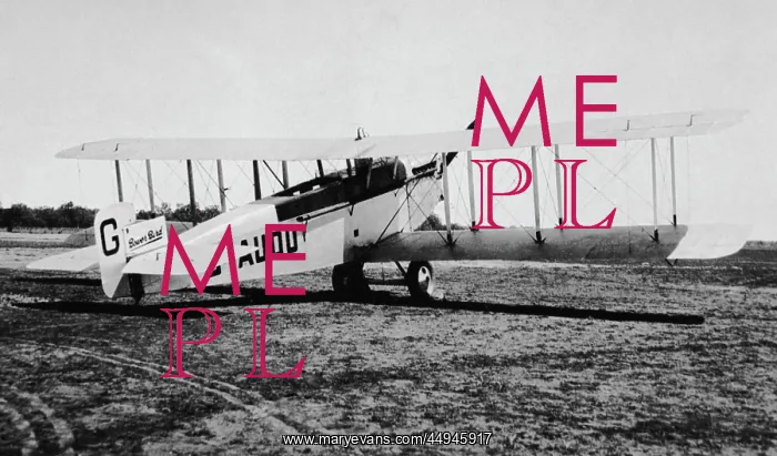 : Sopwith Dove : Sopwith Dove