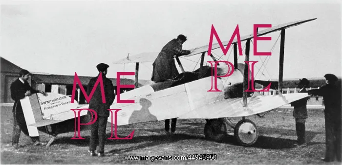 : Sopwith Dove : Sopwith Dove